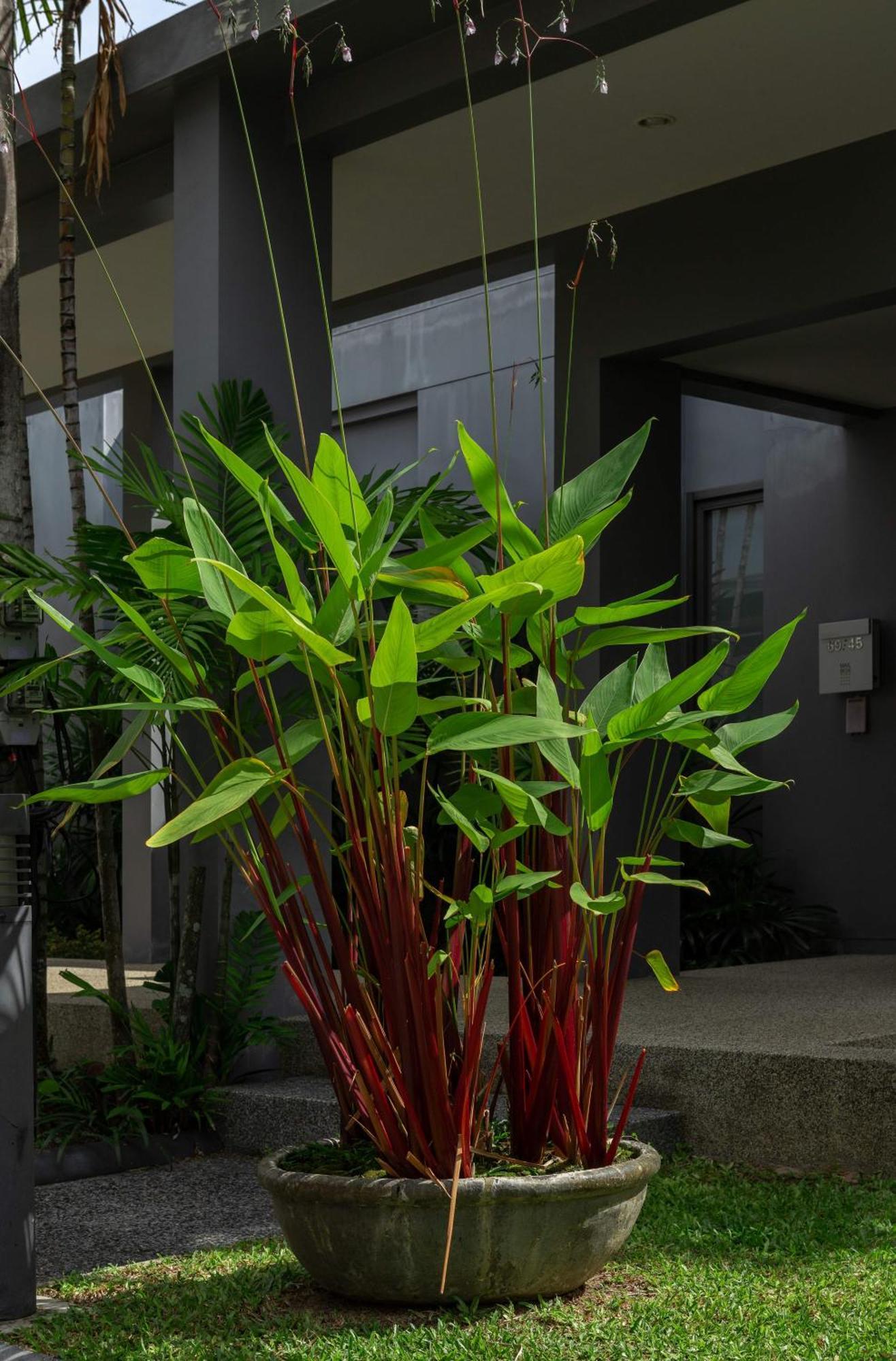 Villa Hanga| 3 Bedroom Private Pool | Onyx Villas By Tropiclook | Naiharn Beach Nai Harn Exterior foto